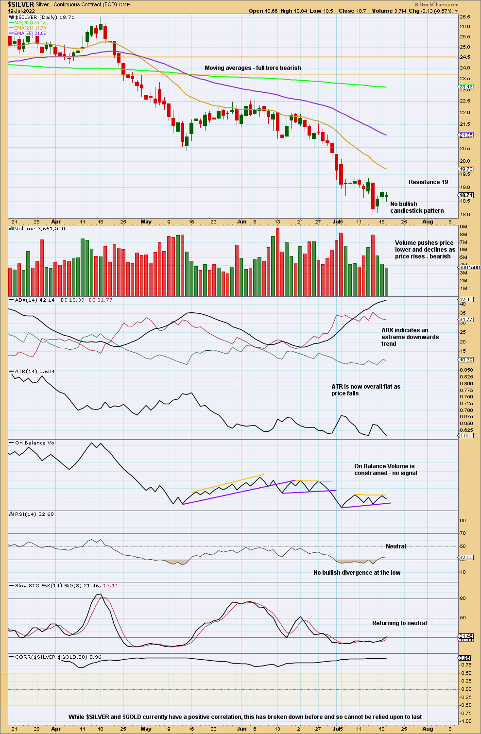 Silver Daily 2022