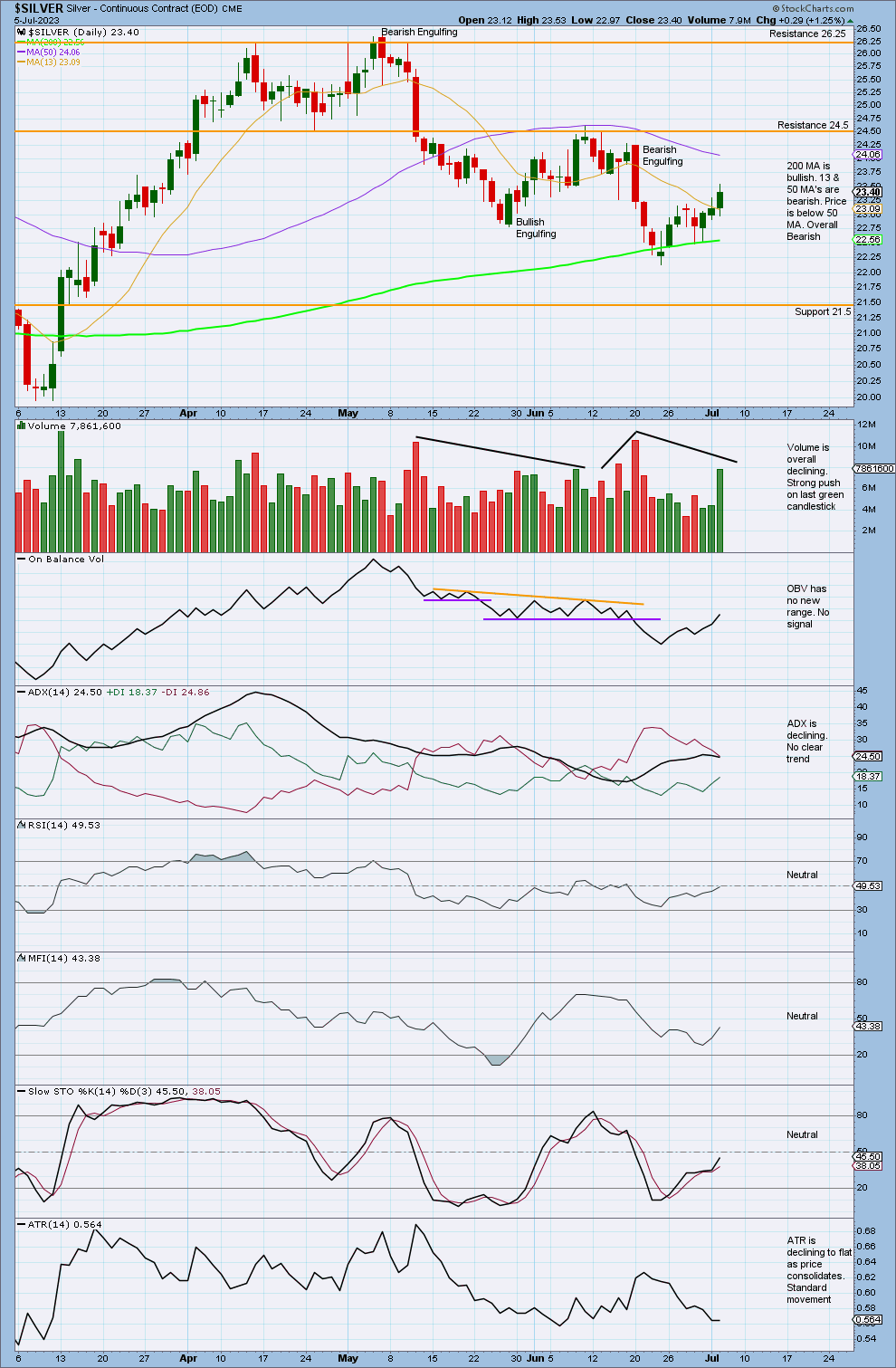 Silver Daily 2023