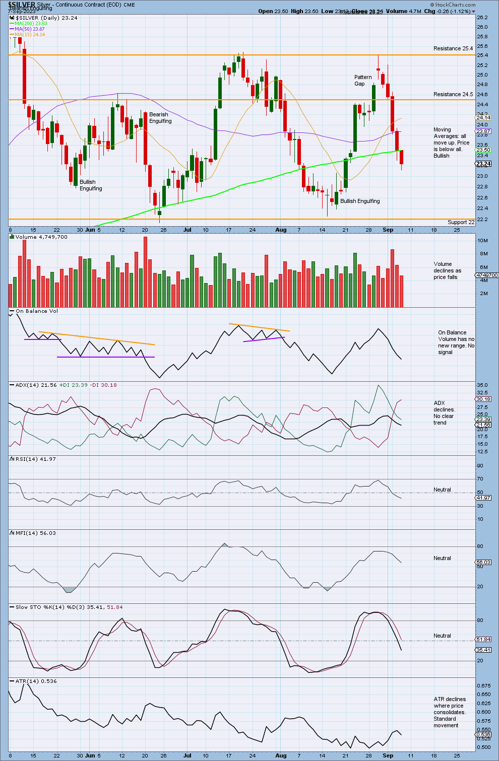 Silver Daily 2023
